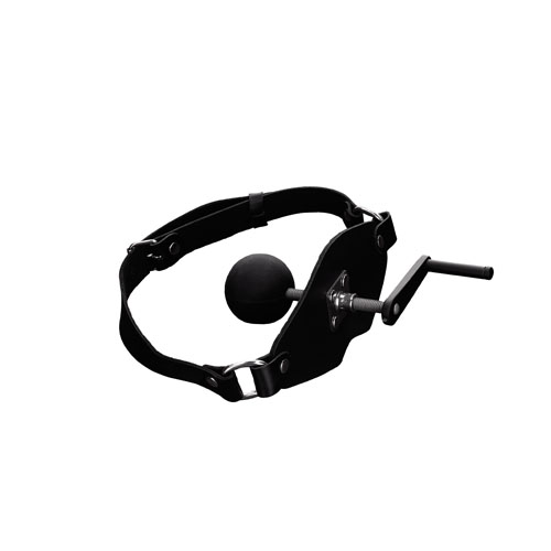 TMS-2560x